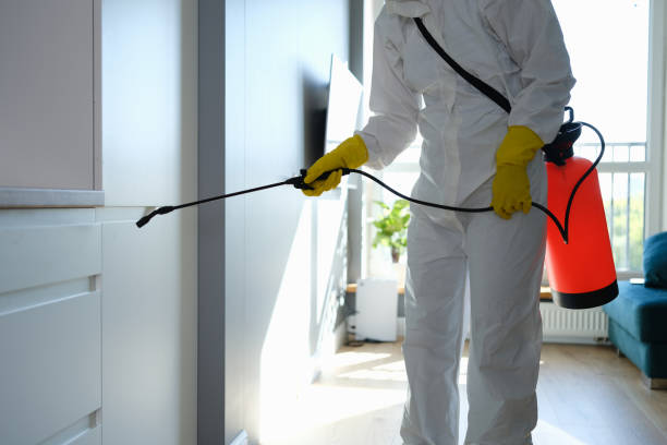 Best Professional Mold Removal  in Woodall, OK