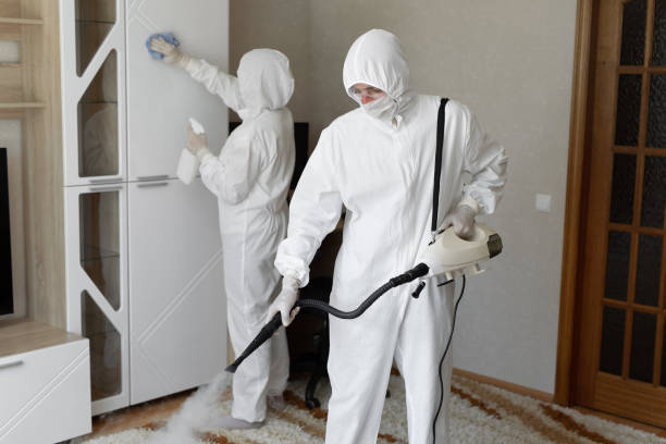 Attic Mold Removal in Woodall, OK