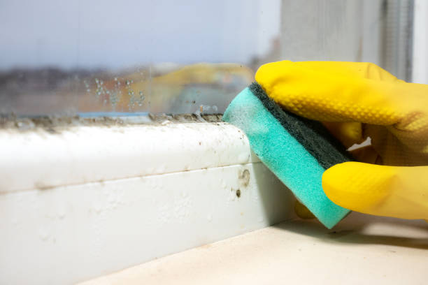Best Mold Testing  in Woodall, OK