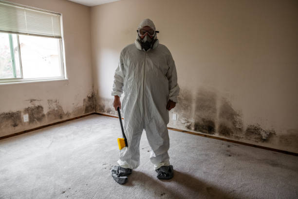 Best Certified Mold Removal  in Woodall, OK