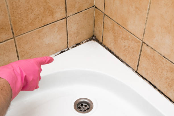 Best Emergency Mold Removal  in Woodall, OK